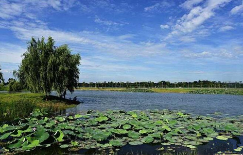 梁鸿国家湿地公园拓展基地